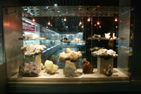 中国地质博物馆.jpg